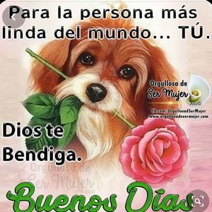 Meet your Posher, Mabel